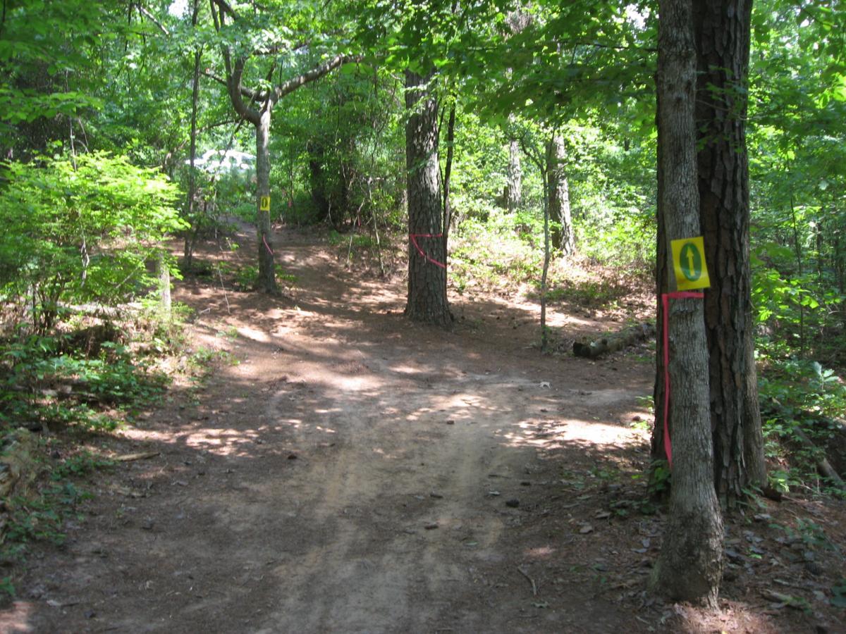 A wooded trail winding through lush greenery, with dirt path lined by trees. Bright yellow directional signs indicate the path, and pink ribbons mark boundaries along the trail. Sunlight filters through the leaves, creating a serene outdoor atmosphere. Tribble Mill Park mountain bike trail.