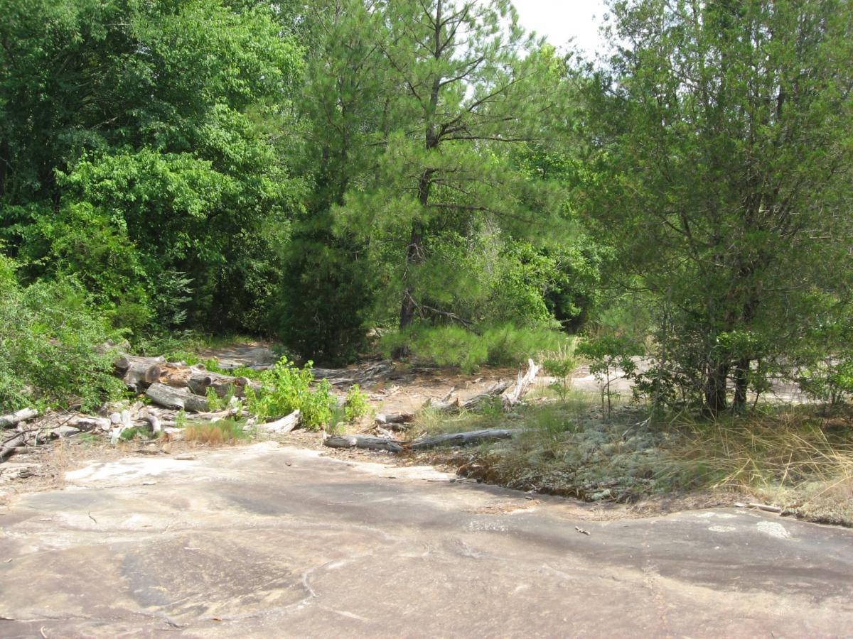 A rocky, natural landscape featuring a smooth, weathered stone surface in the foreground, surrounded by lush greenery, including trees and shrubs. The scene evokes a serene outdoor setting with scattered logs and earthy textures, suggesting a remote woodland area. Tribble Mill Park mountain bike trail.