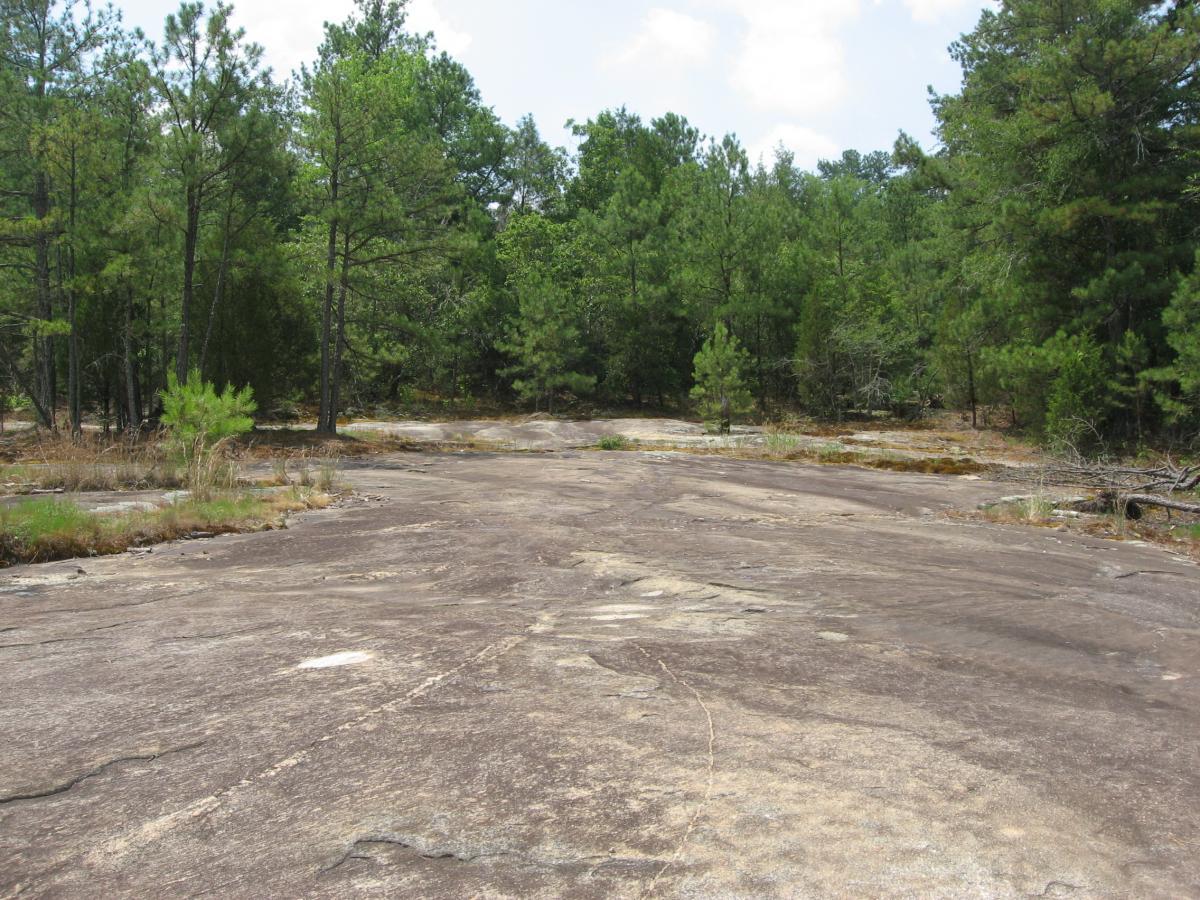 A rocky landscape with smooth, exposed stone surfaces surrounded by a mix of green pine trees and low vegetation under a partly cloudy sky. Tribble Mill Park mountain bike trail.