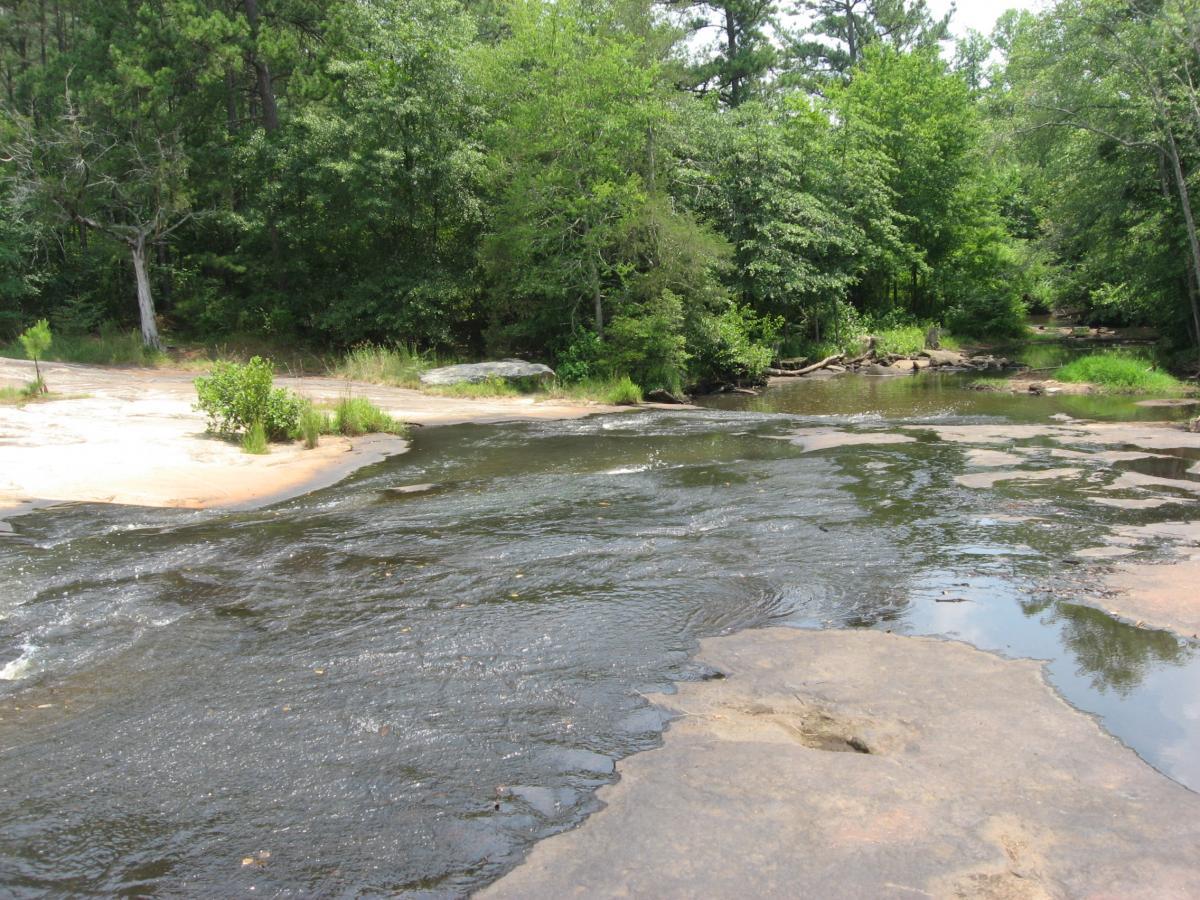 A serene river scene with gently flowing water over rocky areas, surrounded by lush green trees and vegetation. The sunlight casts a warm glow on the landscape, highlighting the natural beauty of the space. Tribble Mill Park mountain bike trail.