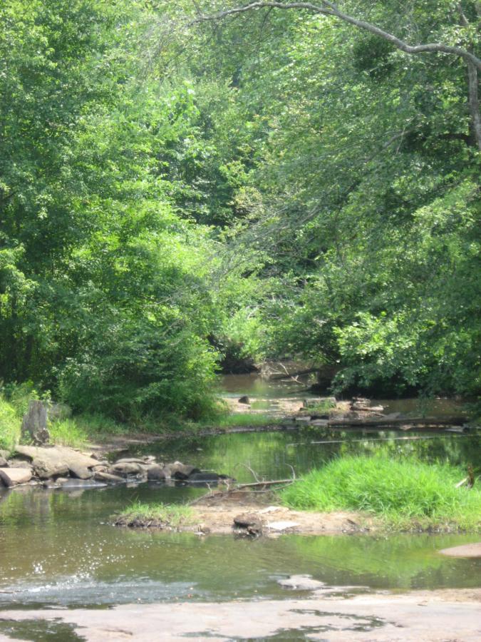 A tranquil scene of a shallow creek winding through a lush, green forest. Sunlight filters through the dense foliage, casting dappled shadows on the water's surface, while rocks and patches of grass line the creek banks. Tribble Mill Park mountain bike trail.