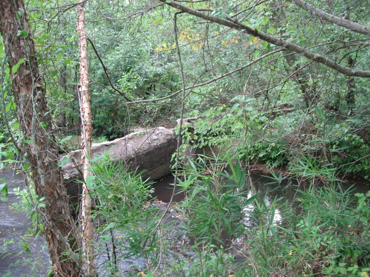 A tranquil scene of a wooded area featuring a rocky outcrop beside a serene stream, surrounded by lush greenery and trees. Tribble Mill Park mountain bike trail.