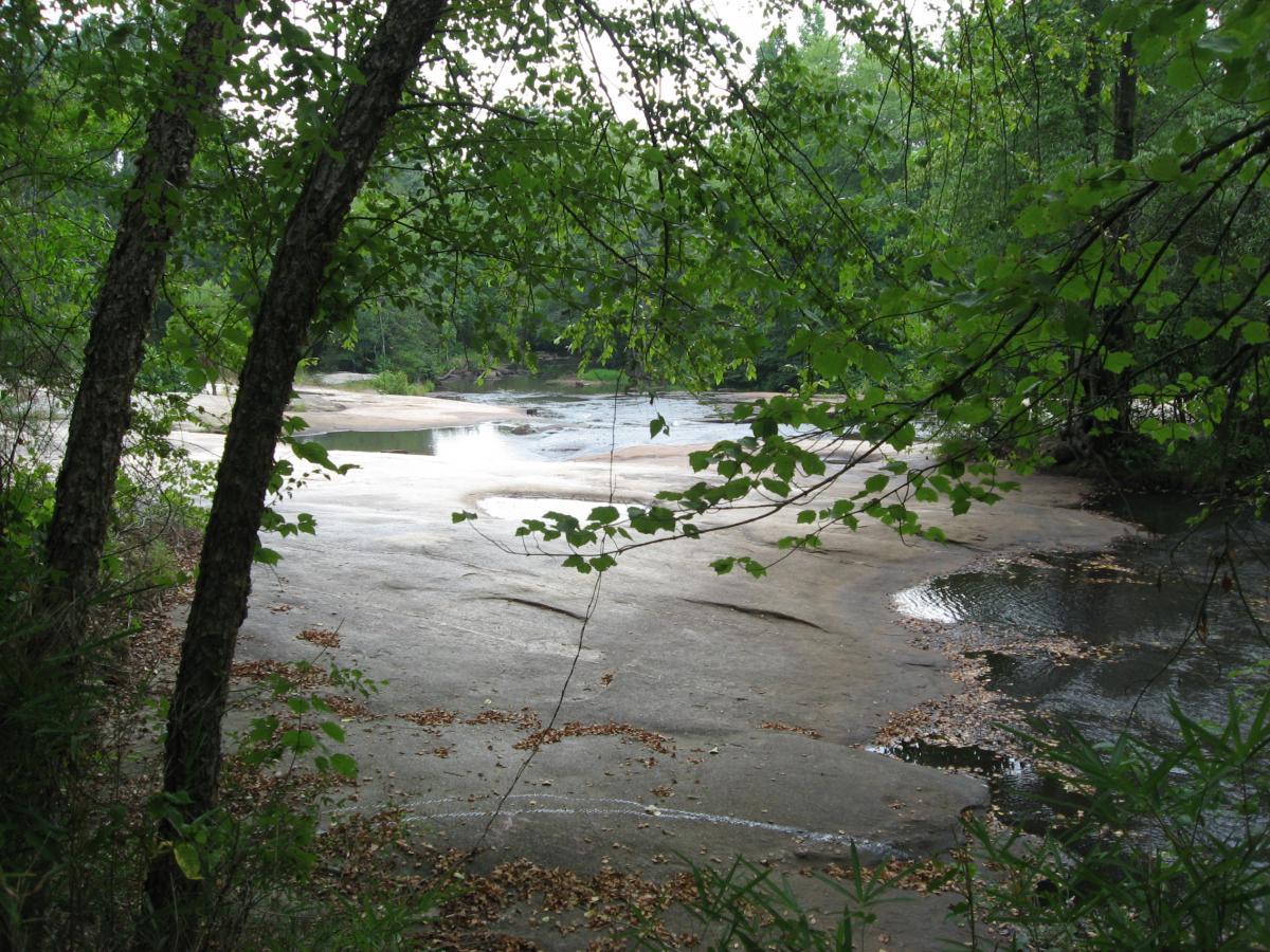 A serene riverside scene featuring smooth, flat stones partially covered with water, surrounded by lush green trees and foliage. The river gently reflects the greenery, creating a tranquil atmosphere. Tribble Mill Park mountain bike trail.
