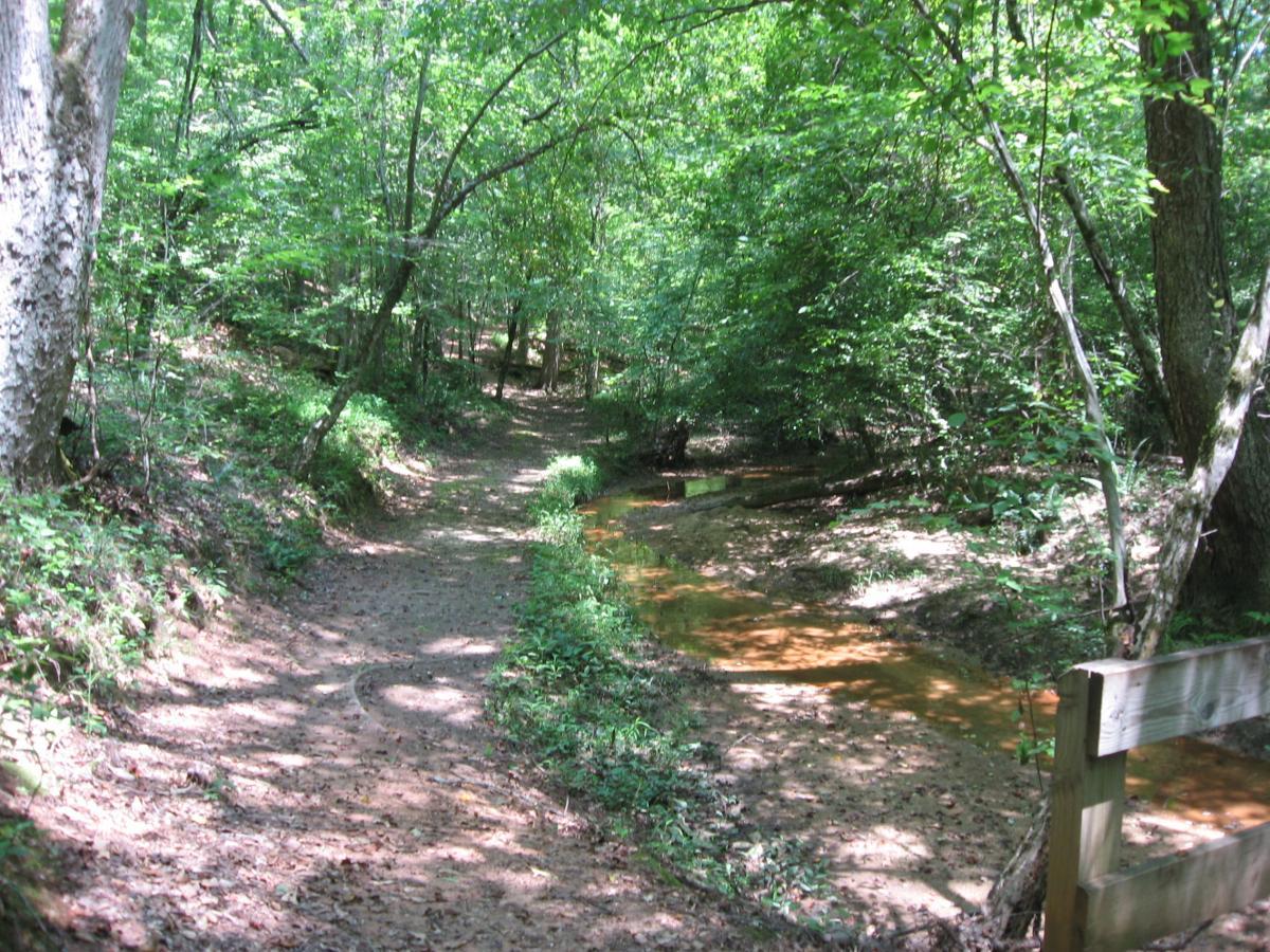 A narrow dirt path winds through a lush green forest, flanked by trees and vegetation. A small, shallow stream meanders alongside the path, reflecting the sunlight filtering through the leaves overhead. The scene evokes a tranquil, natural atmosphere. Watson Mill Bridge State Park mountain bike trail.