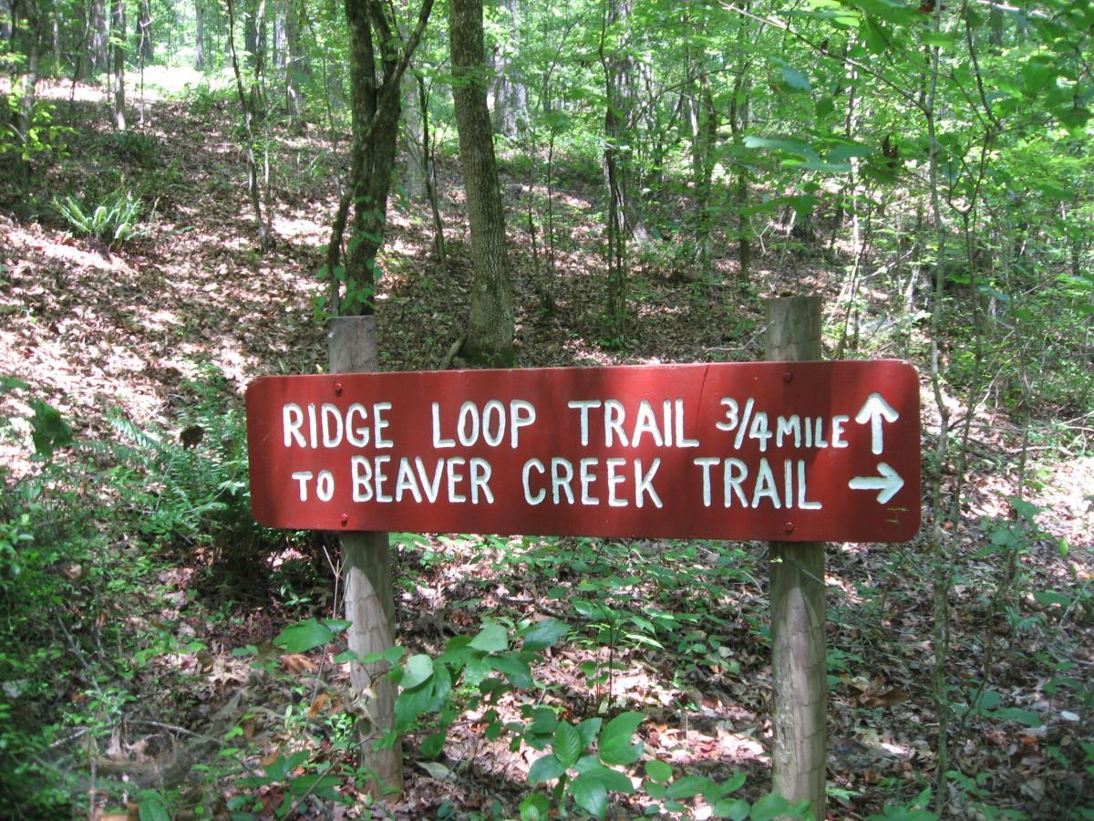 Wooden trail sign indicating directions for the Ridge Loop Trail, 3/4 mile to Beaver Creek Trail, surrounded by lush greenery and forest. Watson Mill Bridge State Park mountain bike trail.