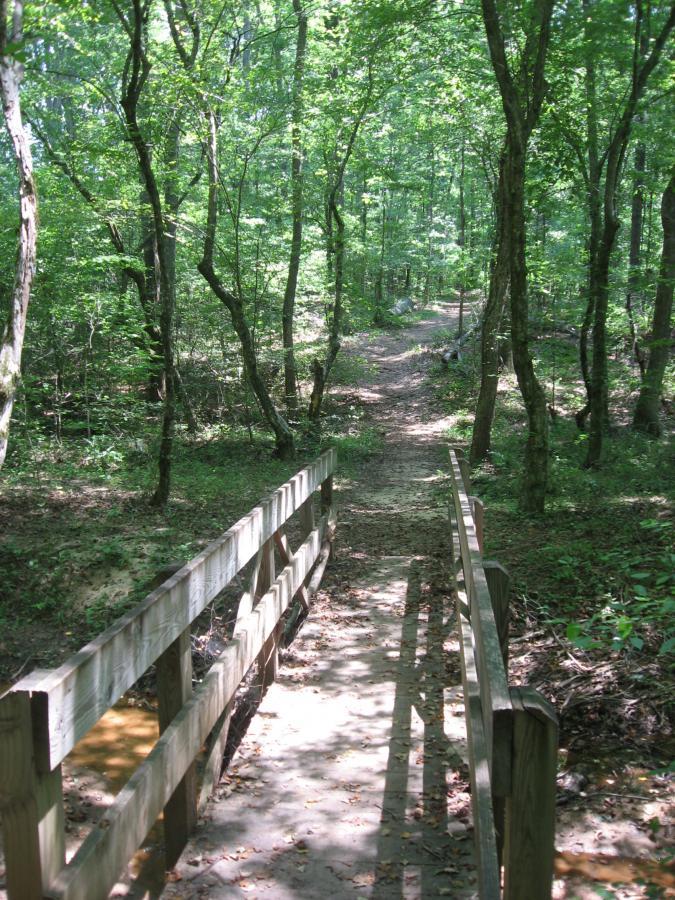 A wooden bridge crossing over a shallow stream, leading into a lush, green forest path. Sunlight filters through the trees, casting dappled shadows on the ground. The trail is surrounded by greenery, inviting exploration in a serene natural environment. Watson Mill Bridge State Park mountain bike trail.
