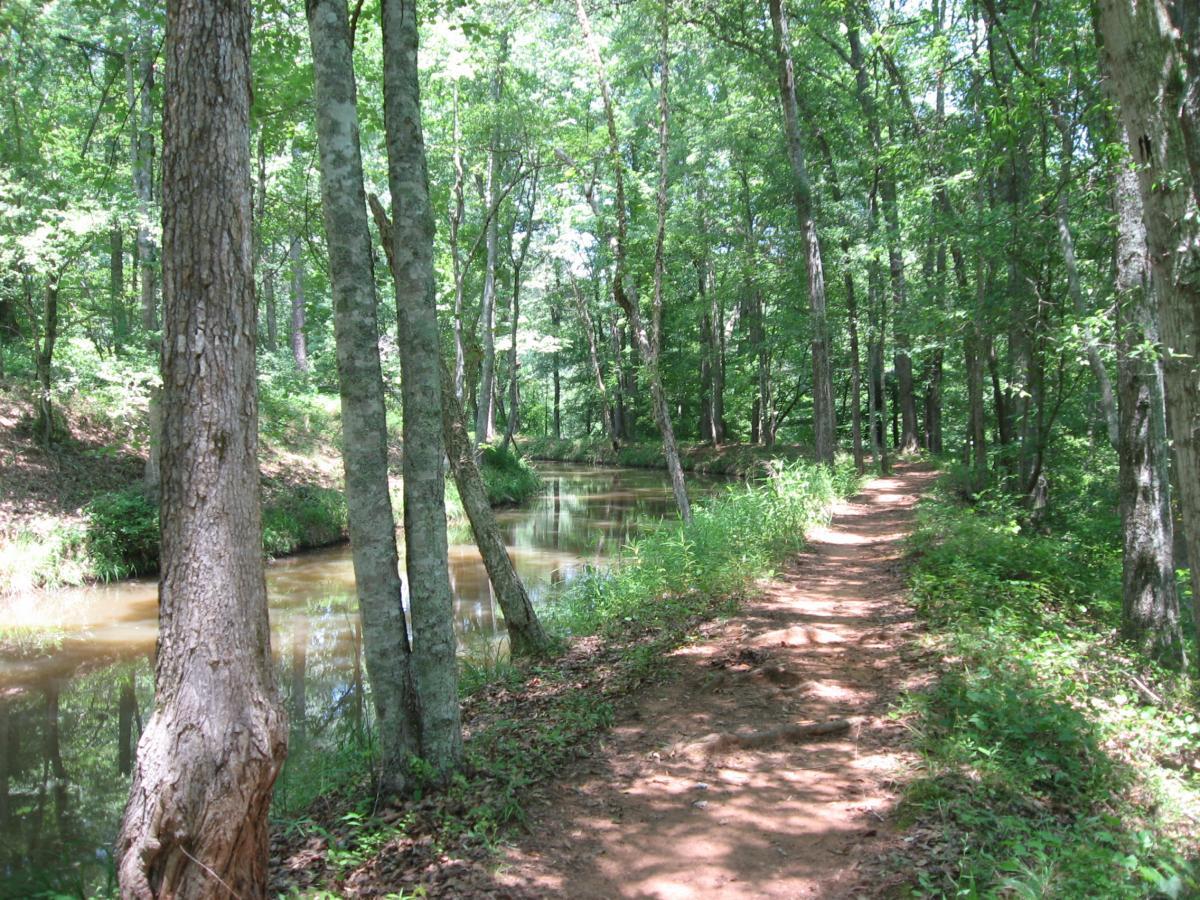 A serene forested pathway alongside a gently flowing creek, surrounded by tall trees and lush greenery, with dappled sunlight filtering through the leaves. Watson Mill Bridge State Park mountain bike trail.