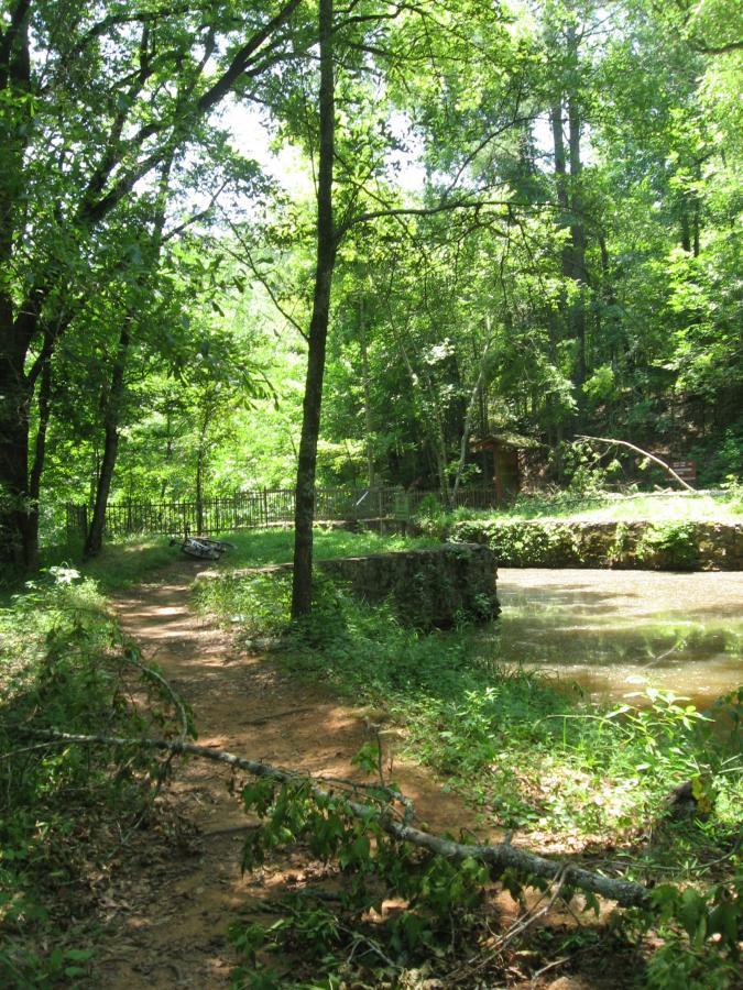 A peaceful woodland scene showcasing a path winding through lush green trees. In the background, a tranquil area of still water is partially visible, bordered by foliage. Sunlight filters through the leaves, creating a serene atmosphere in this natural setting. A faintly visible fence and a small structure can be seen among the trees. Watson Mill Bridge State Park mountain bike trail.