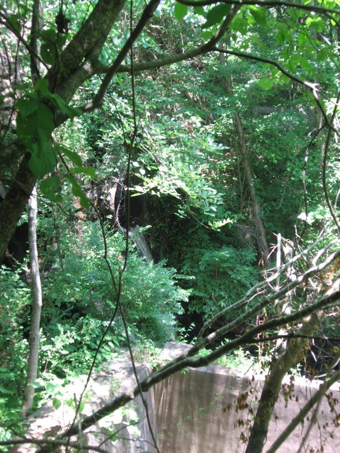 A lush, green forest scene featuring various trees and dense foliage. In the background, a small, cascading waterfall is partially visible, surrounded by vibrant greenery. Sunlight filters through the leaves, creating a serene and peaceful atmosphere. Watson Mill Bridge State Park mountain bike trail.