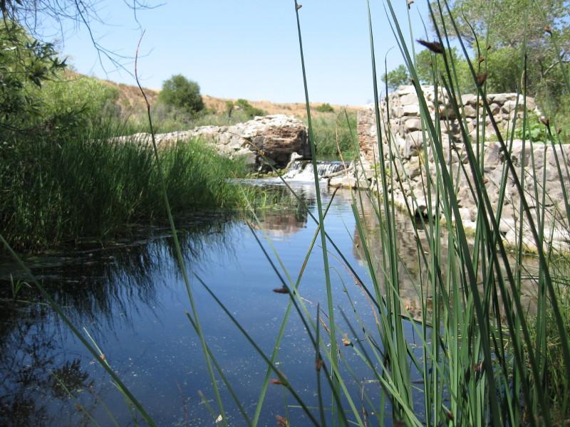 A serene water scene featuring a calm pond surrounded by lush green grasses and plants. In the background, there are rocky formations and a small waterfall flowing into the water. The bright blue sky provides a clear, sunny atmosphere, enhancing the peaceful natural setting. Mission Trails mountain bike trail.