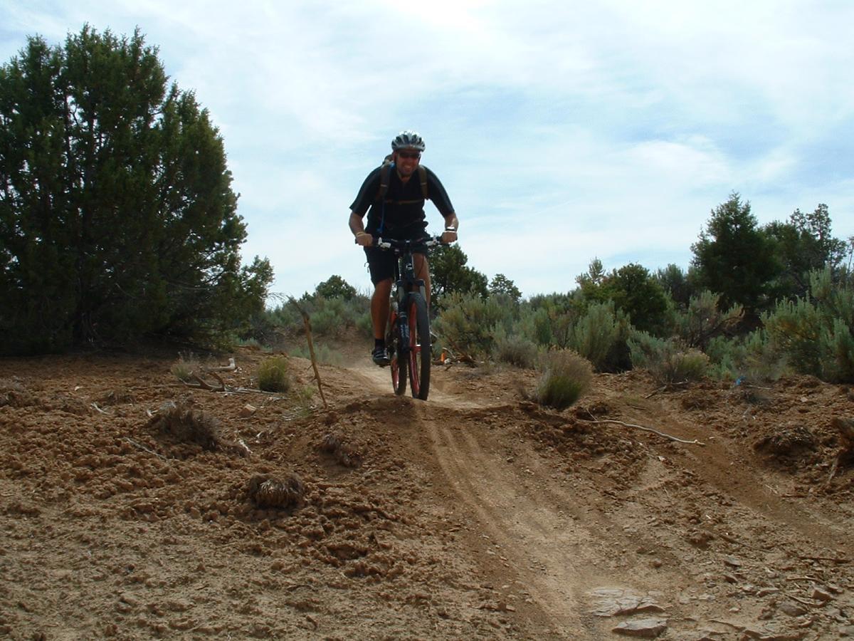 A mountain biker riding down a dirt trail in a natural setting, surrounded by shrubs and trees, with a light blue sky overhead. The biker is in mid-air, having just jumped off a small mound of dirt. Phil's World mountain bike trail.