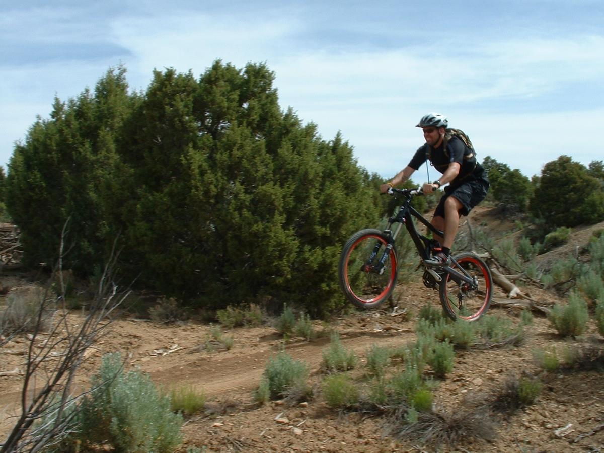 A mountain biker performing a jump on a dirt trail surrounded by shrubs and trees, set against a clear sky. The rider is wearing a helmet and a black outfit, showing a dynamic and adventurous moment in an outdoor environment. Phil's World mountain bike trail.