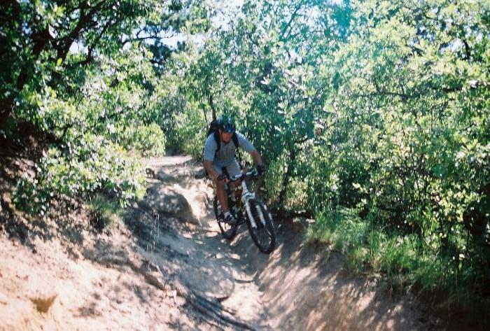 A mountain biker navigates a narrow dirt trail surrounded by lush greenery, leaning into a turn as sunlight filters through the trees. Palmer Park mountain bike trail.
