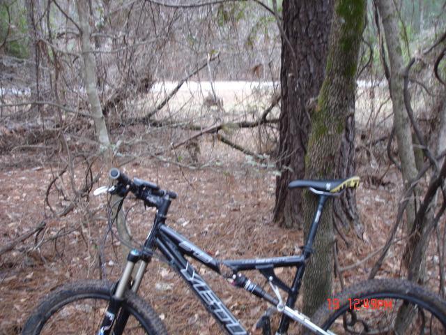A mountain bike resting against a tree in a dense wooded area, surrounded by branches and fallen leaves, with a blurred background that hints at a clearing beyond. Fort Yargo State Park mountain bike trail.