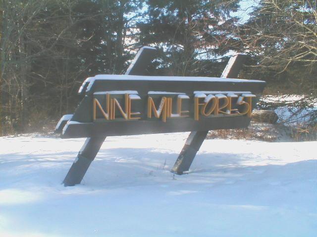 A wooden sign reading "Nine Mile Forest" partially covered in snow, surrounded by trees in a winter landscape. Nine Mile mountain bike trail.