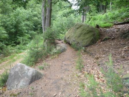 A rocky trail winding through a lush green forest, featuring several large boulders and surrounded by trees and underbrush. Tower Trail mountain bike trail.