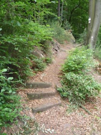 A narrow, winding trail surrounded by lush greenery, featuring stone steps leading up a slope. The path is lined with dense foliage and trees, creating a natural woodland setting. Tower Trail mountain bike trail.