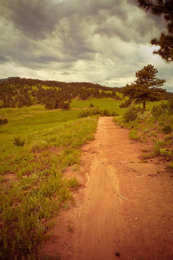 A sandy dirt path meanders through a lush green meadow, surrounded by rolling hills and scattered trees under a cloudy sky. Hall Ranch mountain bike trail.