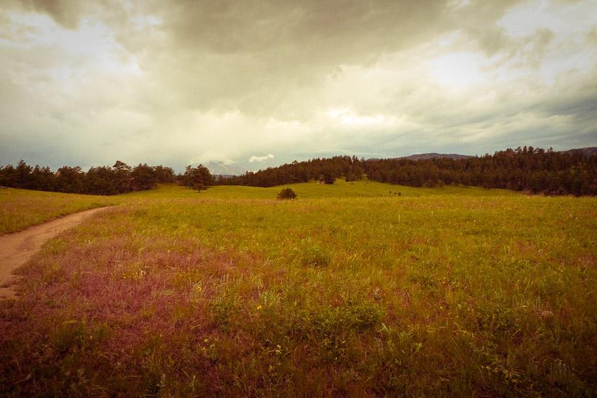 A grassy landscape under a cloudy sky, with a winding dirt path leading through the vibrant green field. In the background, rolling hills and clusters of trees can be seen, creating a peaceful natural scene. Hall Ranch mountain bike trail.