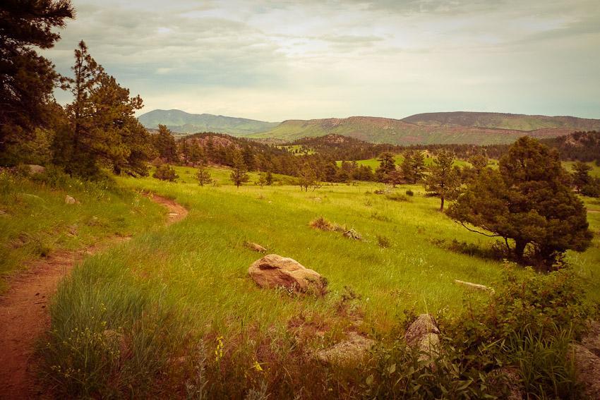 A scenic view of a winding dirt path through a lush, green meadow, surrounded by pine trees and rocky outcrops, with rolling hills and a cloudy sky in the background. Hall Ranch mountain bike trail.