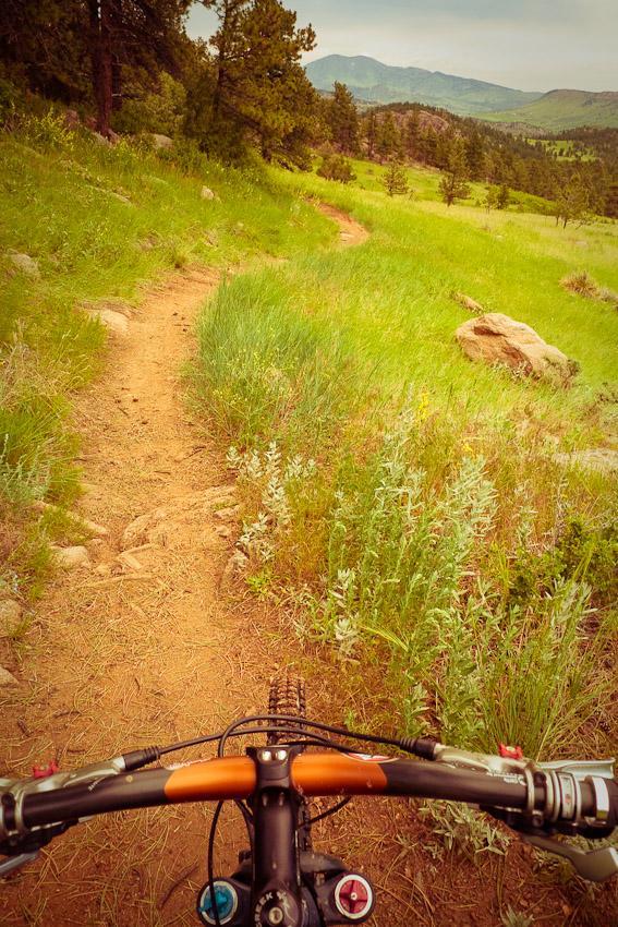 A view from the handlebars of a mountain bike on a dirt trail, surrounded by lush green grass and scattered rocks, with distant hills and trees in the background under a cloudy sky. Hall Ranch mountain bike trail.