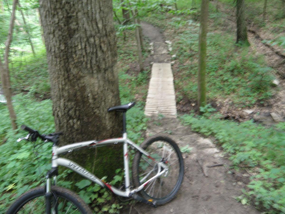 A mountain bike leaning against a large tree in a wooded area, with a narrow wooden path leading through the greenery. The Center Trails mountain bike trail.