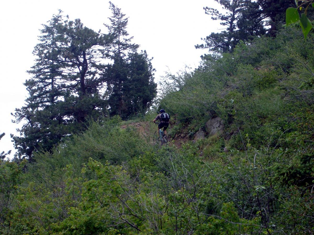 A person riding a mountain bike on a narrow trail surrounded by dense greenery and trees, with a cloudy sky in the background. Chimney Gulch mountain bike trail.