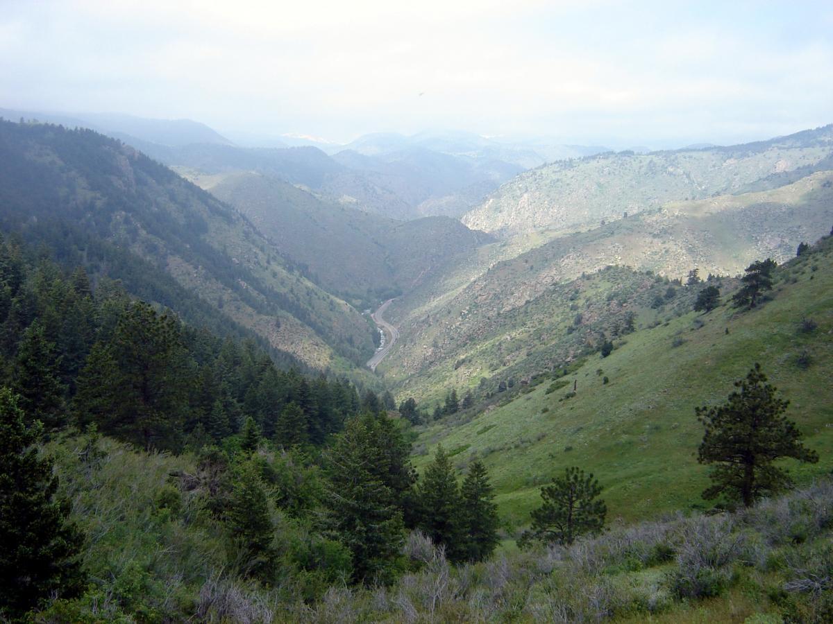 A scenic valley view showcasing rolling green hills and dense pine trees under a cloudy sky. A winding river is visible in the distance, surrounded by mountains and gentle slopes, creating a tranquil natural landscape. Chimney Gulch mountain bike trail.