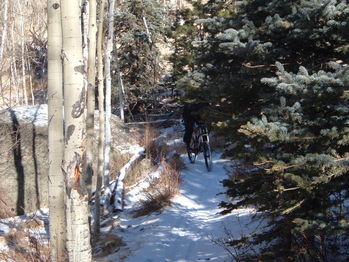 A person riding a mountain bike along a snowy trail surrounded by tall trees, including aspens and evergreens. The landscape features a mix of snow-covered ground and patches of grass, indicating a winter setting. Rampart Reservoir mountain bike trail.