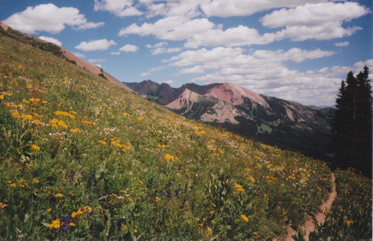 A vibrant meadow filled with yellow and various wildflowers, sloping down towards purple and green hills under a blue sky with fluffy white clouds. The backdrop features rugged mountains with reddish peaks, providing a stunning natural landscape. A dirt path winds through the flowers, inviting exploration of the scenic area. Trail 401 mountain bike trail.