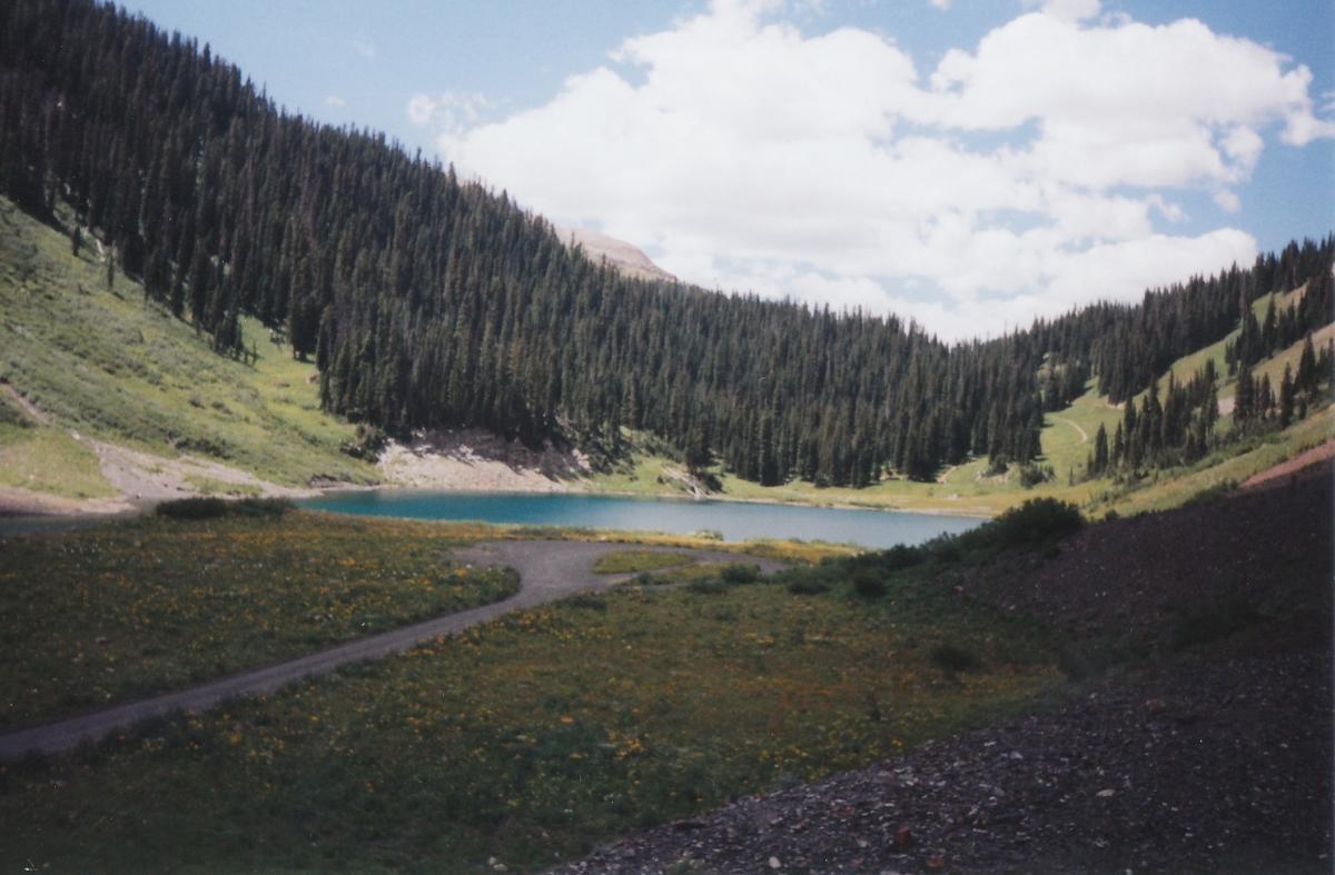 A serene landscape featuring a tranquil lake surrounded by lush green hills and dense evergreen trees under a partly cloudy sky. A winding dirt path leads toward the water's edge, with patches of colorful wildflowers scattered throughout the foreground. Trail 401 mountain bike trail.