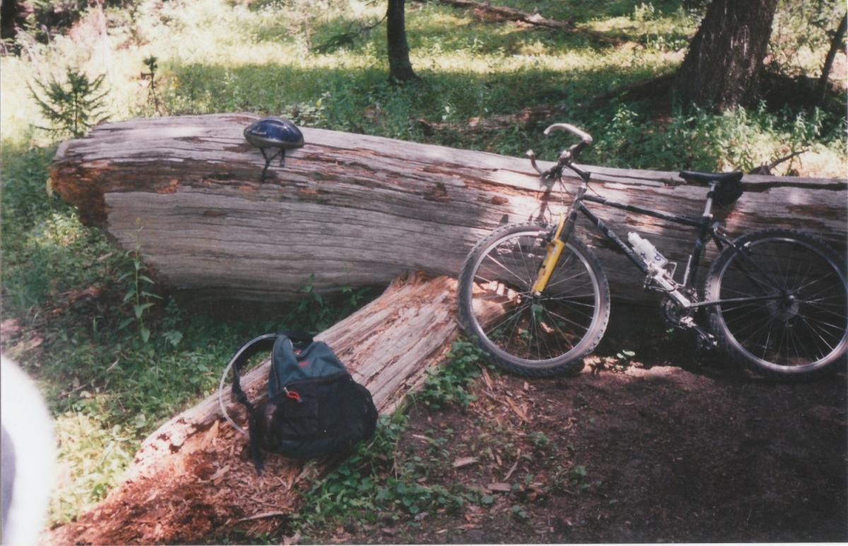 A mountain bike leaning against a large fallen log in a wooded area, with a black helmet placed on top of the log and a dark backpack on the ground nearby. Sunlight is filtering through the trees, highlighting the greenery around the scene. Trail 401 mountain bike trail.