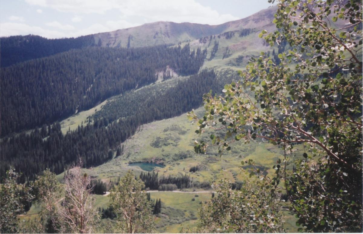 A scenic landscape featuring rolling green hills and dense coniferous forests under a partly cloudy sky. In the foreground, leafy branches frame the view, while a small pond can be seen nestled within the lush valley below. The backdrop includes distant mountains, adding to the natural beauty of the scene. Trail 401 mountain bike trail.