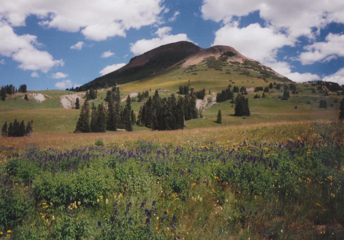 A scenic landscape featuring a prominent mountain peak in the background, surrounded by lush green hills and a vibrant meadow filled with wildflowers in various colors. The sky is bright blue with fluffy white clouds, creating a picturesque outdoor scene. Trail 401 mountain bike trail.