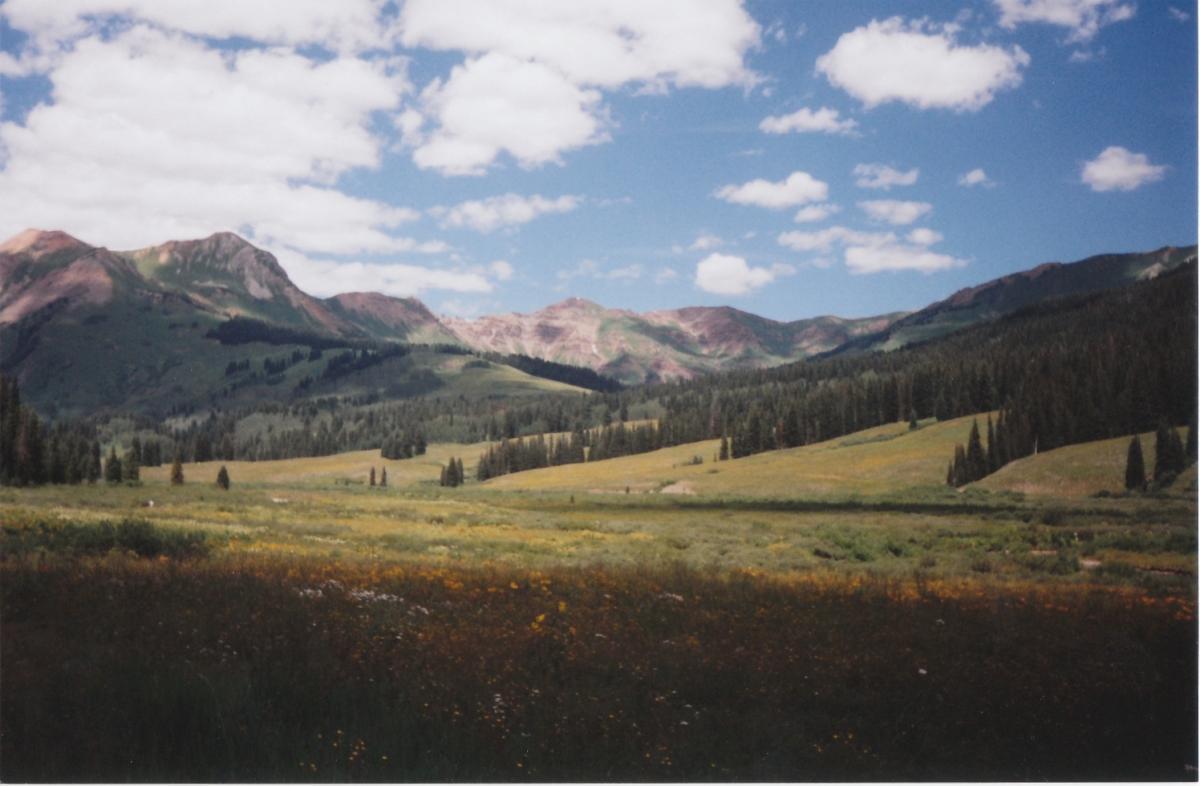 A scenic view of rolling hills and mountains under a blue sky with fluffy white clouds. The foreground features a vibrant meadow filled with colorful wildflowers, while lush green trees line the base of the mountains in the background. Trail 401 mountain bike trail.