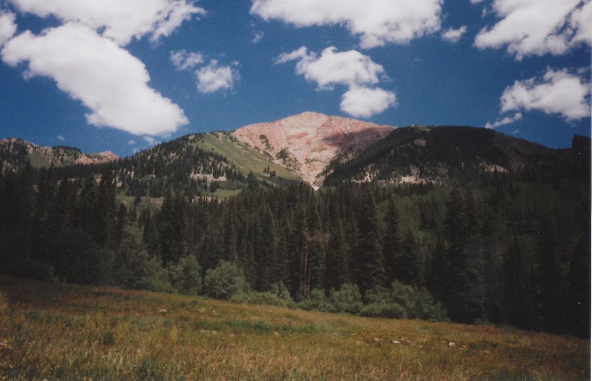 A scenic view of mountains under a clear blue sky dotted with clouds. In the foreground, a lush green field extends with patches of grass and wildflowers. The mountains in the background feature a mix of green slopes and rocky peaks, creating a picturesque natural landscape. Trail 401 mountain bike trail.