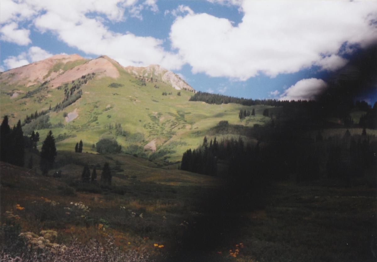 A scenic mountain landscape featuring rolling green hills, patches of trees, and a blue sky with fluffy white clouds. The foreground includes a grassy meadow with wildflowers, and the steep mountain slopes rise in the background. Trail 401 mountain bike trail.
