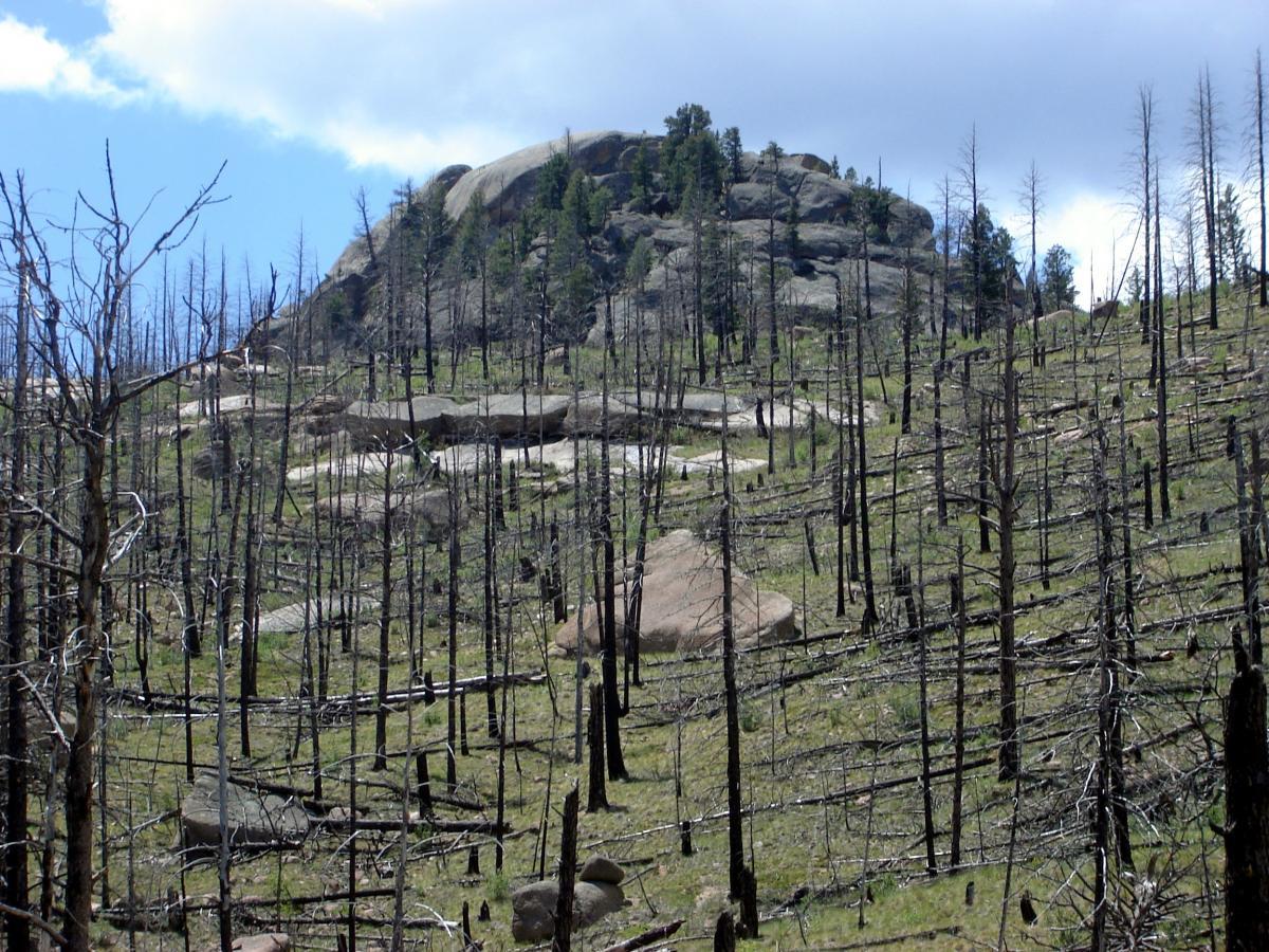 A hillside landscape featuring a rocky outcrop surrounded by charred tree stumps and scorched earth, with some green grass and scattered boulders visible. The sky is partly cloudy, indicating a mix of sunlight and shadow over the area. Buffalo Creek mountain bike trail.
