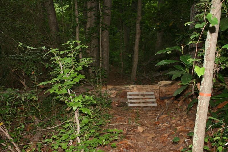 A narrow pathway leading into a forested area, featuring a fallen tree trunk and a wooden pallet on the ground. Surrounding vegetation includes small bushes and trees with green leaves, creating a dense, natural environment. Kiwanis Fairground mountain bike trail.