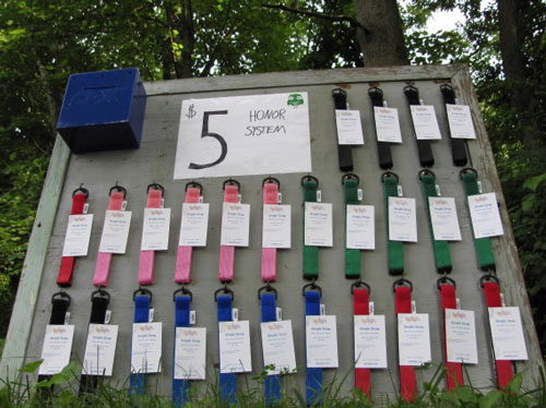 A bulletin board displaying various colorful wristbands for sale, each labeled with a price of $5. The board is organized by color, including red, pink, blue, green, and black wristbands, and features a sign that reads "HONOR SYSTEM." There is a blue payment box attached to the board. The setting appears to be outdoors, surrounded by greenery.