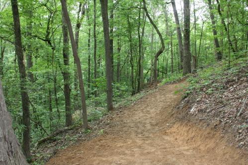 A dirt path winding through a lush green forest, surrounded by tall trees and dense foliage. The scene captures the tranquility of nature, with sunlight filtering through the leaves. Sope Creek mountain bike trail.