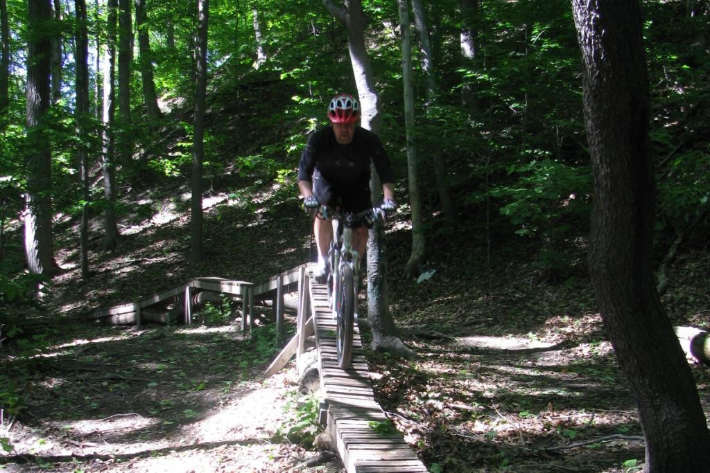 A mountain biker navigating a wooden plank trail through a dense forest, surrounded by green foliage and tree trunks. The cyclist wears a helmet and is in mid-motion, emphasizing the thrill of riding on a narrow bridge among the trees. Don Valley mountain bike trail.