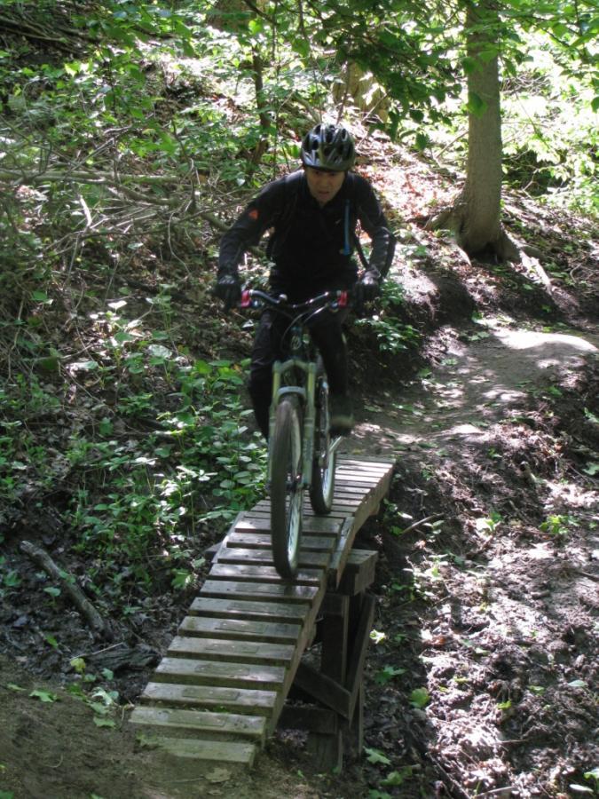 A mountain biker wearing a helmet navigates a narrow wooden bridge on a forest trail, surrounded by greenery and dappled sunlight. Don Valley mountain bike trail.