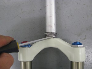 picture-47