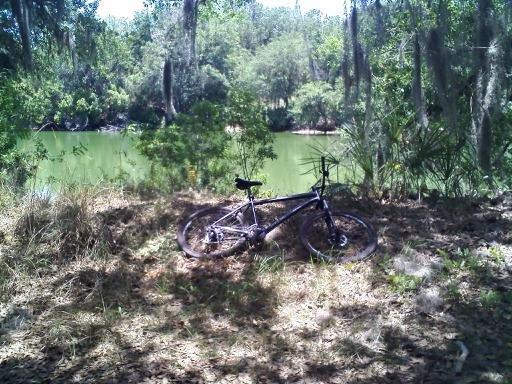 A black mountain bike resting on the ground near a calm, green river, surrounded by tall grass and lush greenery under bright sunlight. Balm Boyette Scrub Preserve mountain bike trail.