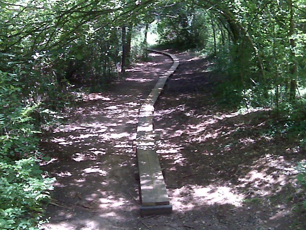 Alt tag: A winding dirt path through a lush green forest, with a wooden boardwalk leading through the trees and sunlight filtering through the foliage. Lake Herrick mountain bike trail.