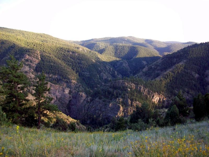 A panoramic view of a lush green mountain landscape, showcasing rolling hills and rocky cliffs, with a valley in the foreground. The scene is adorned with trees and wildflowers, illuminated by soft sunlight filtering through the foliage. Centennial Cone Park mountain bike trail.