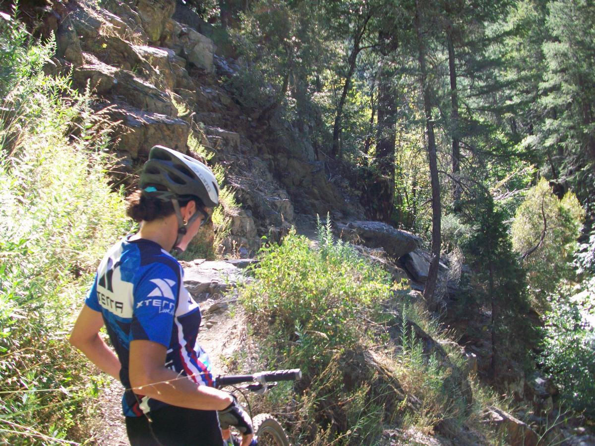 A mountain biker in a blue and white jersey stands next to a rocky trail surrounded by lush greenery and tall trees. The cyclist is looking down, likely assessing the path ahead, with a helmet secured on their head. Sunlight filters through the leaves, creating a bright and vibrant outdoor atmosphere. 1st / 2nd / 3rd Divide mountain bike trail.