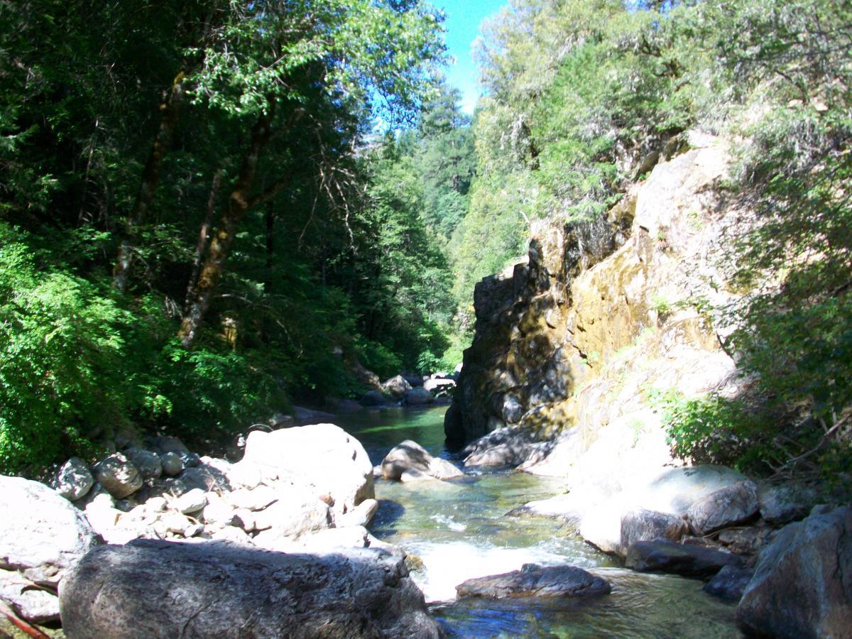 A serene river winding through a lush forest, flanked by rocky banks and tall trees on both sides, under a clear blue sky. 1st / 2nd / 3rd Divide mountain bike trail.