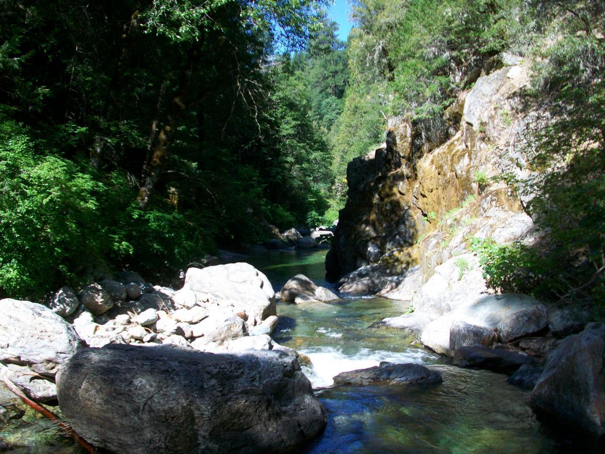 A peaceful river winding through a lush, green forest, surrounded by large rocks and steep, rocky cliffs. Sunlight filters through the trees, creating a serene and tranquil atmosphere. 1st / 2nd / 3rd Divide mountain bike trail.
